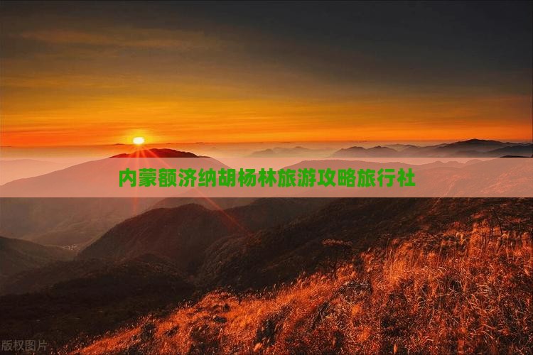 晋城去内蒙额济纳胡杨林旅行社