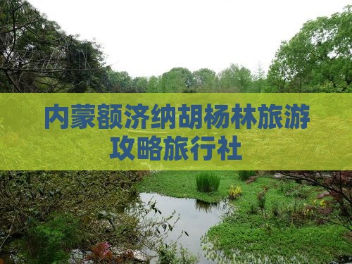 晋城去内蒙额济纳胡杨林旅行社