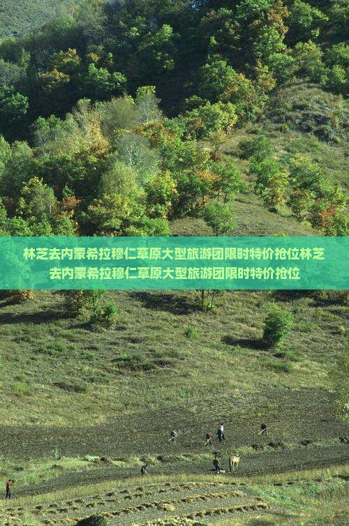 林芝去内蒙希拉穆仁草原大型旅游团