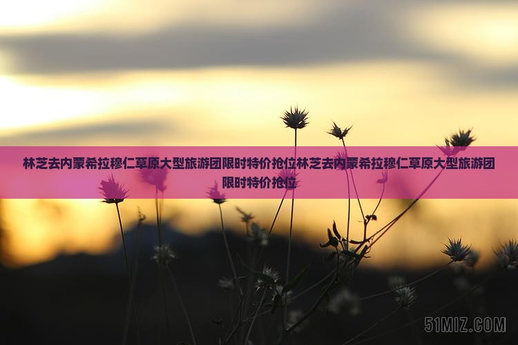 林芝去内蒙希拉穆仁草原大型旅游团