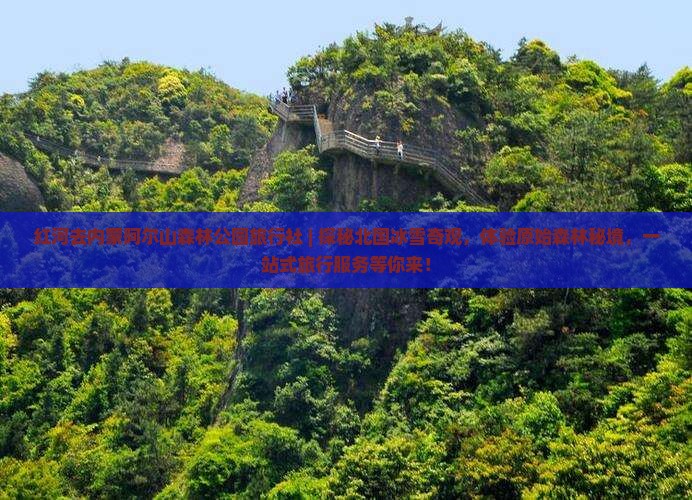 红河去内蒙阿尔山国家森林公园旅行社
