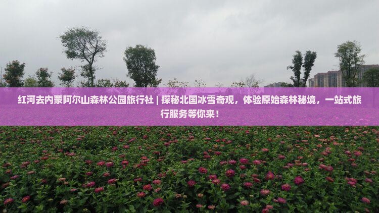 红河去内蒙阿尔山国家森林公园旅行社