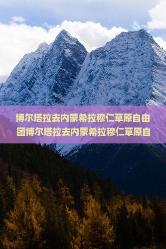 博尔塔拉去内蒙希拉穆仁草原自由团