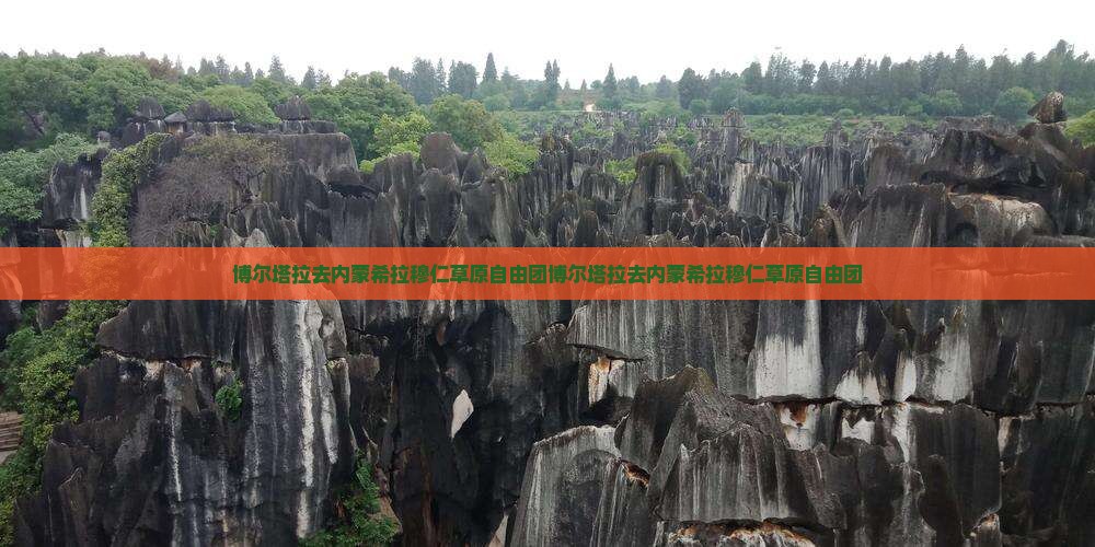 博尔塔拉去内蒙希拉穆仁草原自由团