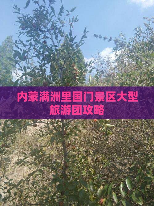 甘南到内蒙满洲里国门景区大型旅游团