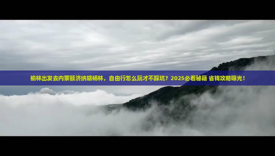 榆林去内蒙额济纳胡杨林自由行