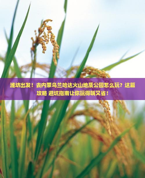 潍坊去内蒙乌兰哈达火山地质公园团体旅游