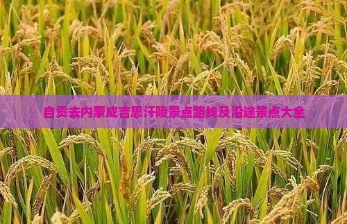 自贡去内蒙成吉思汗陵景点