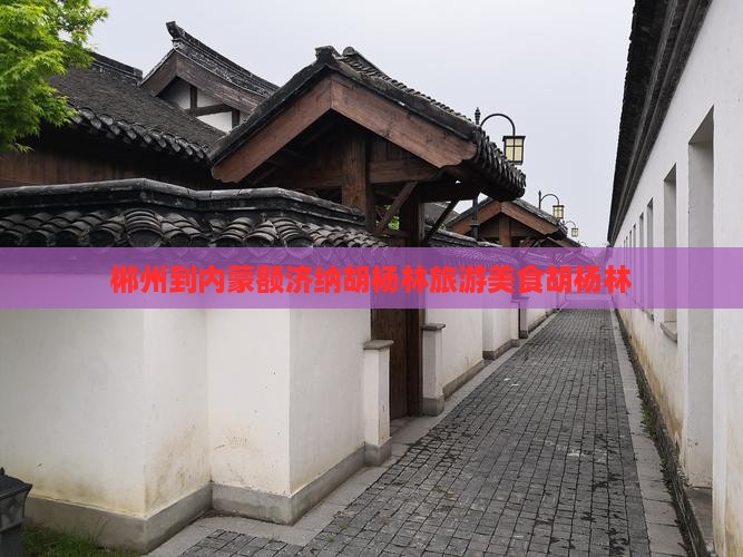 郴州到内蒙额济纳胡杨林旅游小吃