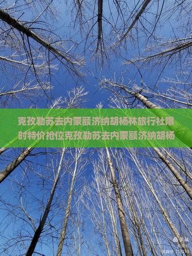 克孜勒苏去内蒙额济纳胡杨林旅行社