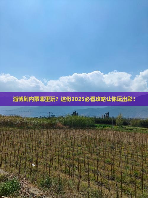 淄博到内蒙哪里玩