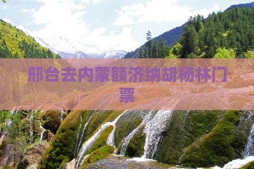 邢台去内蒙额济纳胡杨林门票