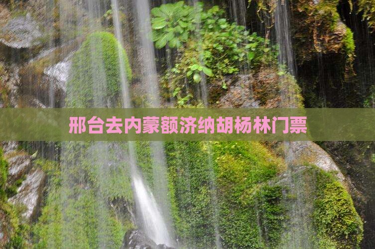 邢台去内蒙额济纳胡杨林门票