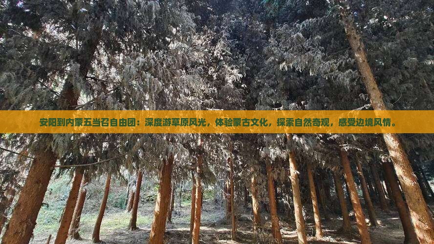 安阳到内蒙五当召自由团