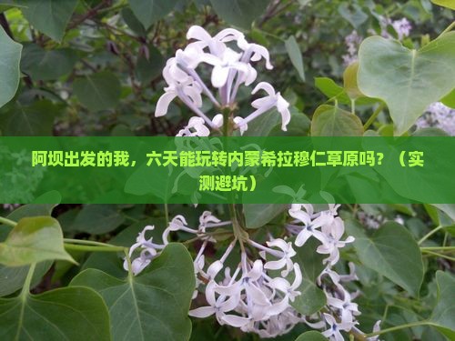 阿坝到内蒙希拉穆仁草原六日游