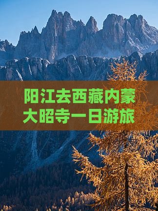 阳江去内蒙大召寺一日游