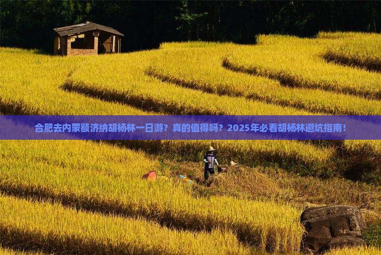 合肥去内蒙额济纳胡杨林一日游