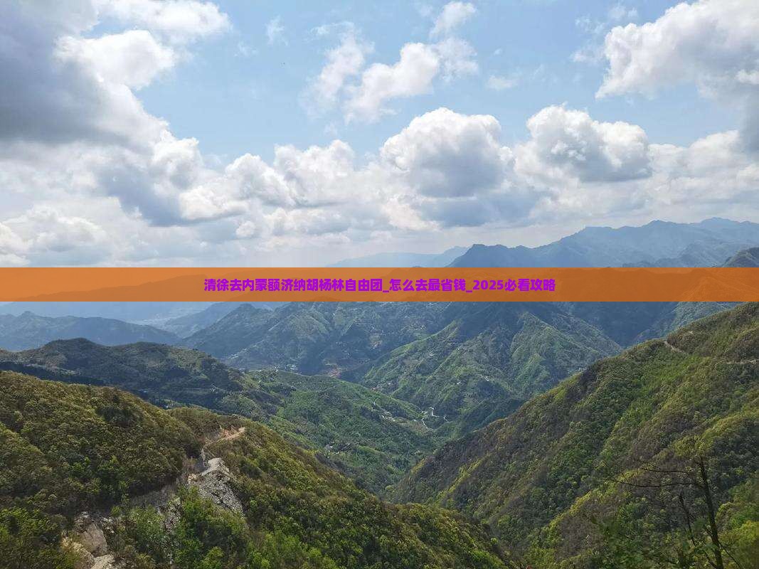 清徐去内蒙额济纳胡杨林自由团