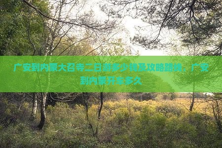 广安到内蒙大召寺二日游