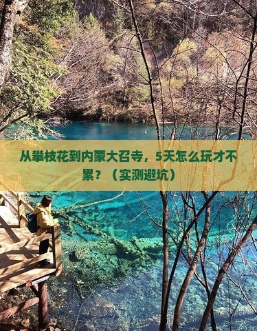 攀枝花去内蒙大召寺自由行