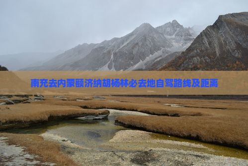 南充去内蒙额济纳胡杨林必去地