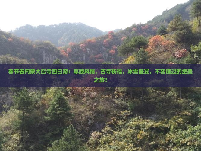 春节去内蒙大召寺四日游