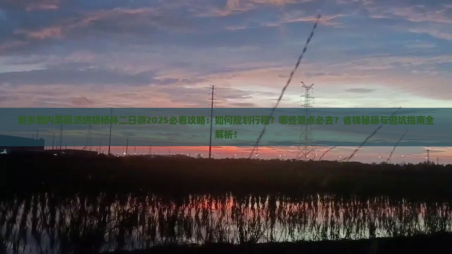 新乡到内蒙额济纳胡杨林二日游