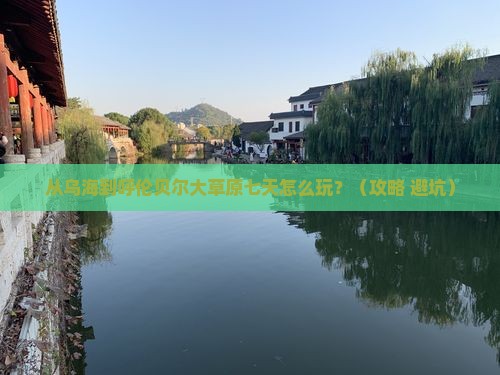 乌海去内蒙呼伦贝尔大草原七日游