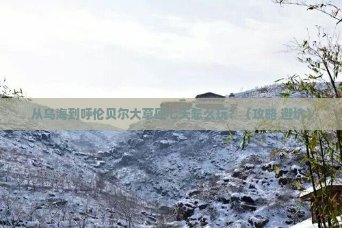 乌海去内蒙呼伦贝尔大草原七日游