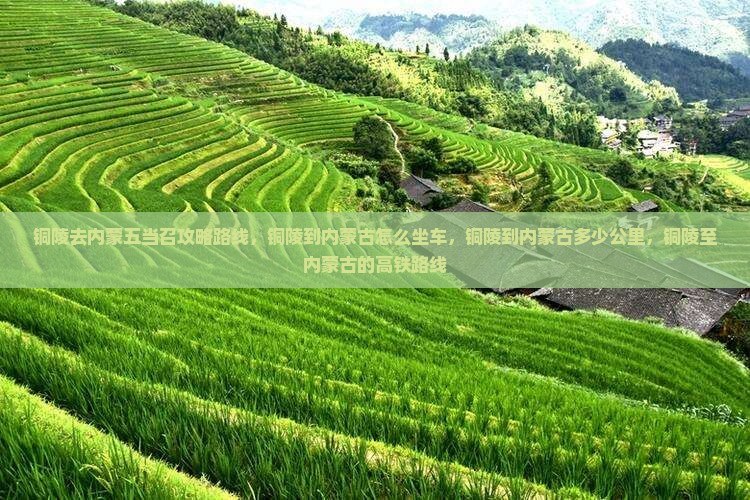 铜陵去内蒙五当召攻略