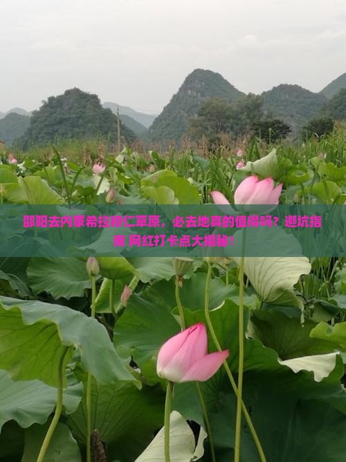 邵阳去内蒙希拉穆仁草原必去地