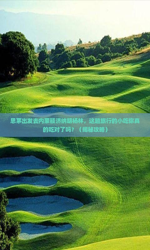 思茅去内蒙额济纳胡杨林旅游小吃