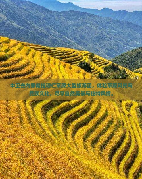 中卫去内蒙希拉穆仁草原大型旅游团