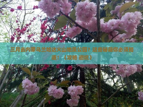 三月去内蒙乌兰哈达火山地质公园旅游