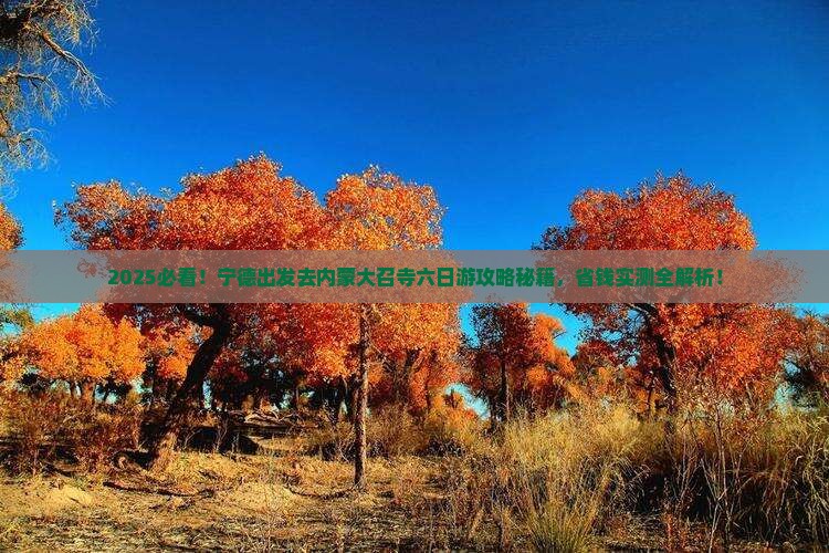 宁德去内蒙大召寺六日游