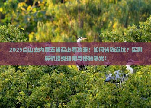 白山去内蒙五当召攻略