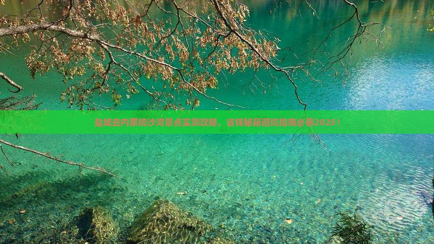 盐城去内蒙响沙湾景点