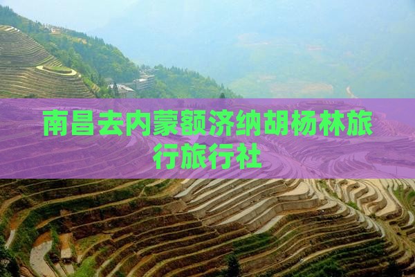 南昌去内蒙额济纳胡杨林旅行社