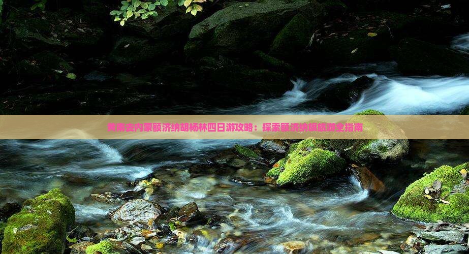黄南去内蒙额济纳胡杨林四日游