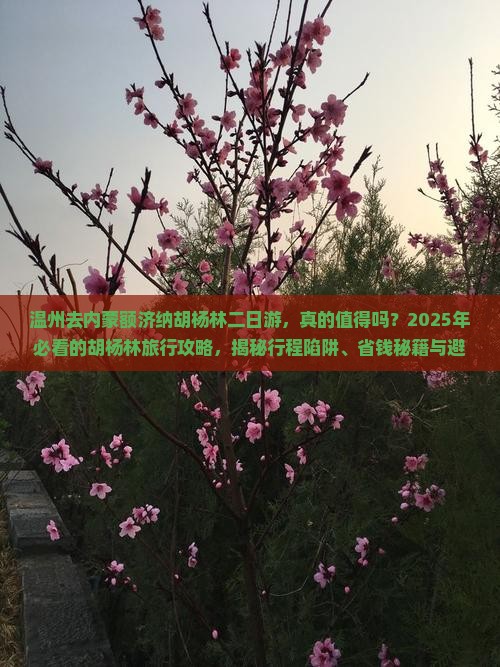 温州去内蒙额济纳胡杨林二日游