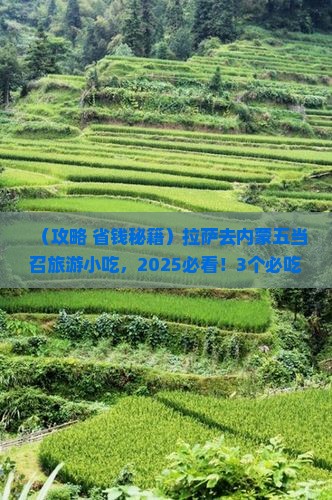 拉萨去内蒙五当召旅游小吃