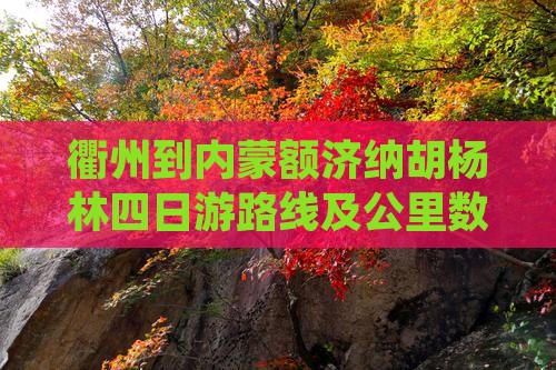 衢州到内蒙额济纳胡杨林四日游
