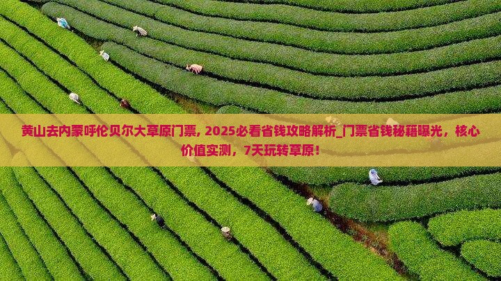 黄山去内蒙呼伦贝尔大草原门票