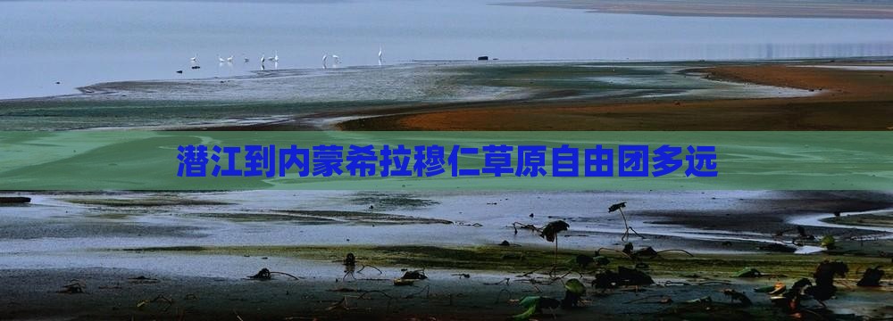 潜江到内蒙希拉穆仁草原自由团