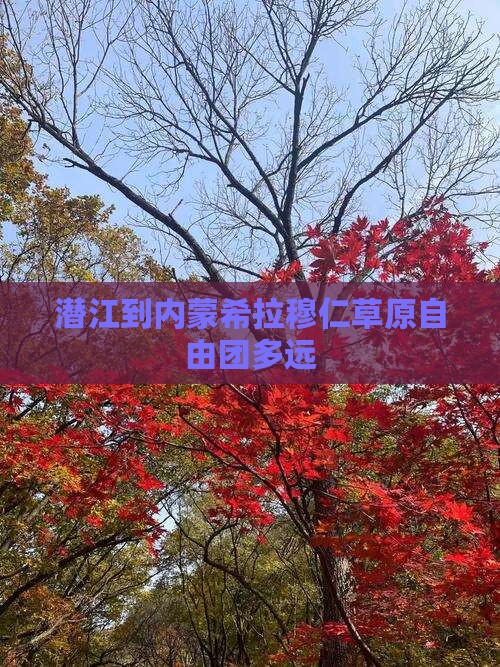 潜江到内蒙希拉穆仁草原自由团