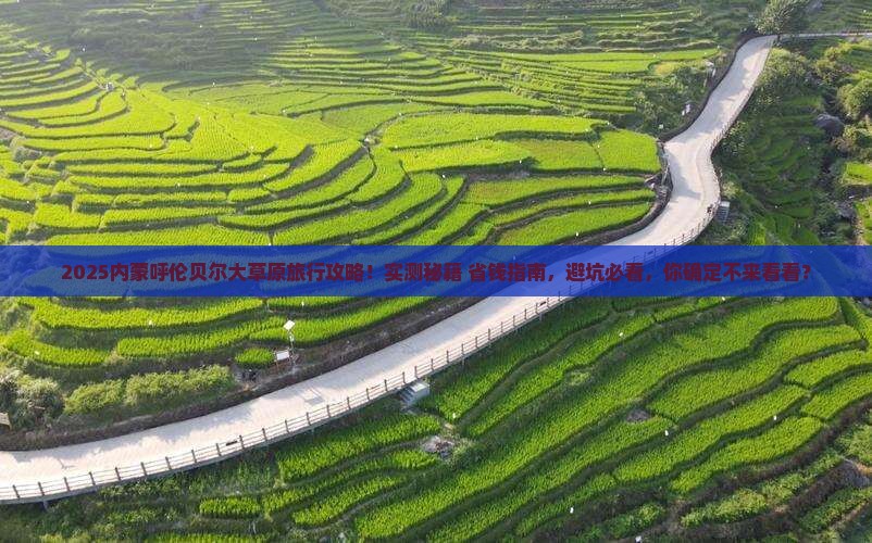 八月去内蒙呼伦贝尔大草原旅行社
