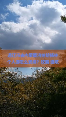 通辽市去内蒙额济纳胡杨林个人游
