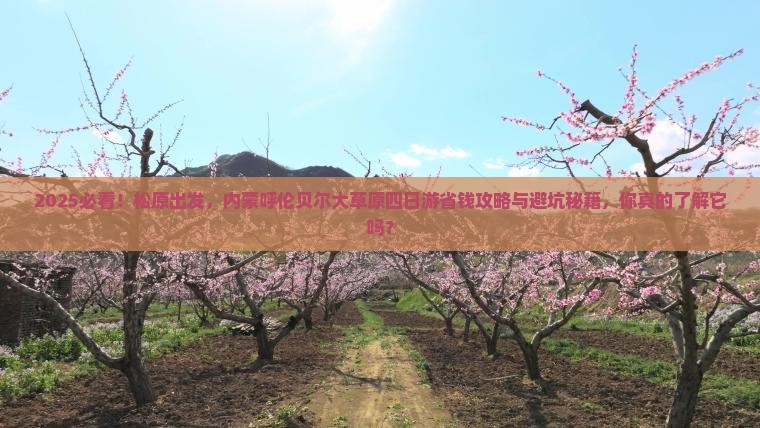 松原去内蒙呼伦贝尔大草原四日游