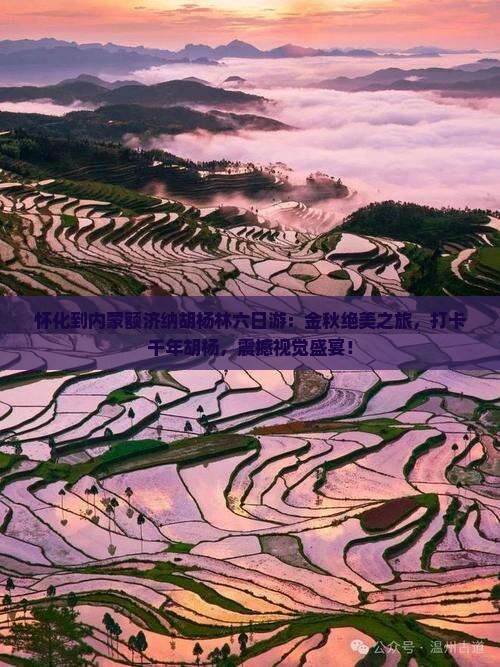 怀化到内蒙额济纳胡杨林六日游