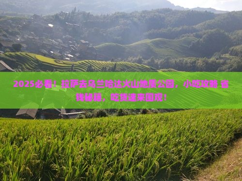 拉萨去内蒙乌兰哈达火山地质公园旅游小吃